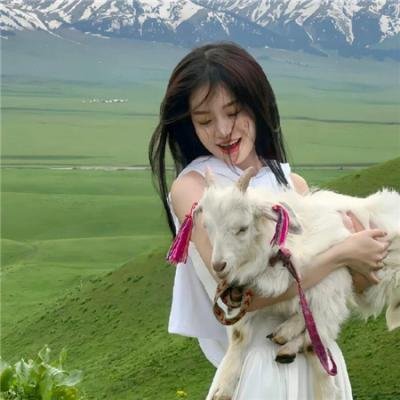 一九五一年的欧洲